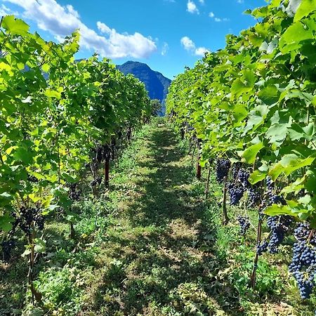 Cascina Teresina Βίλα Veleso Εξωτερικό φωτογραφία