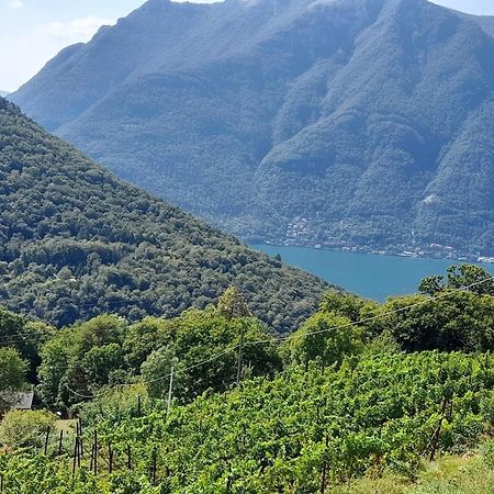 Cascina Teresina Βίλα Veleso Εξωτερικό φωτογραφία