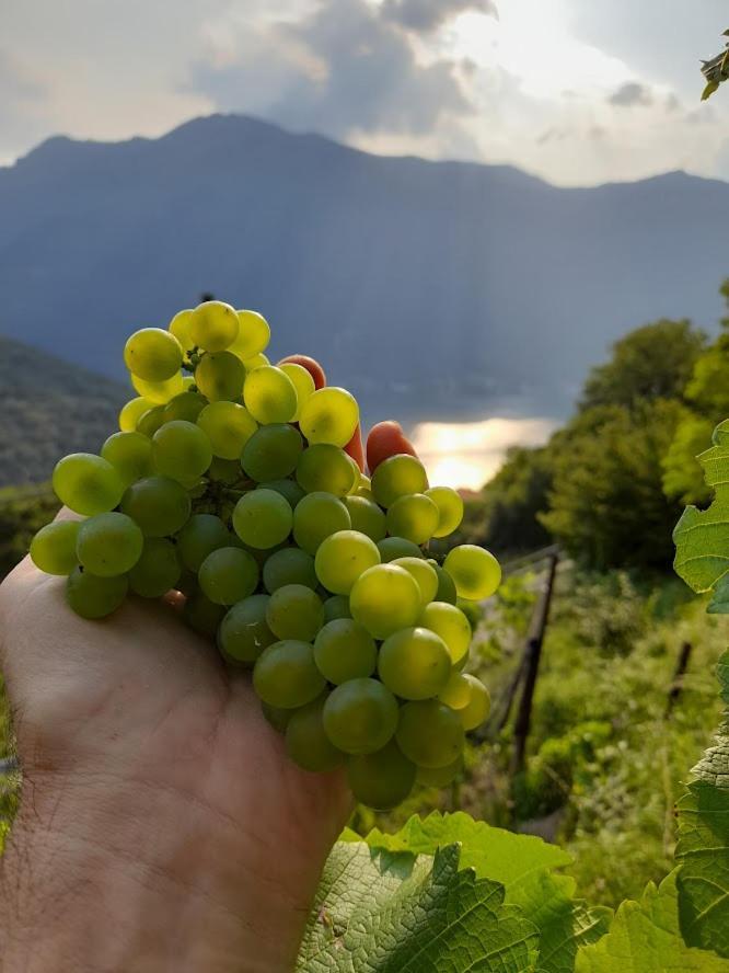 Cascina Teresina Βίλα Veleso Εξωτερικό φωτογραφία