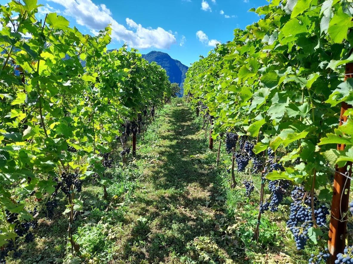 Cascina Teresina Βίλα Veleso Εξωτερικό φωτογραφία