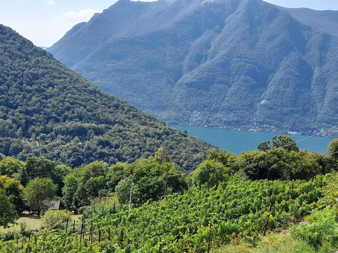 Cascina Teresina Βίλα Veleso Εξωτερικό φωτογραφία