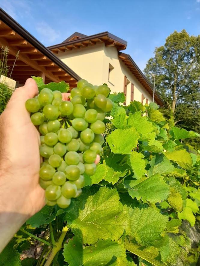 Cascina Teresina Βίλα Veleso Εξωτερικό φωτογραφία