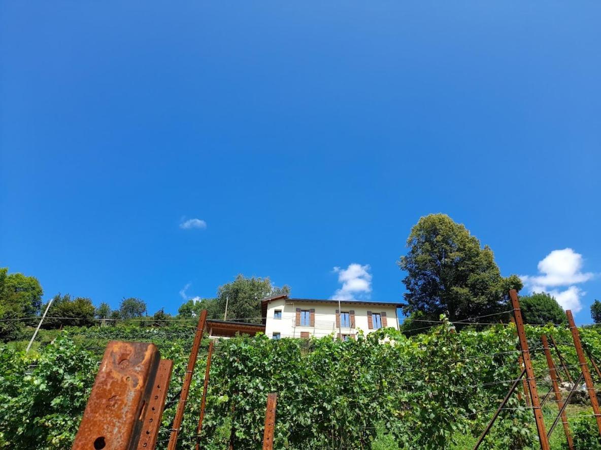 Cascina Teresina Βίλα Veleso Εξωτερικό φωτογραφία