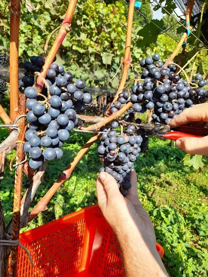 Cascina Teresina Βίλα Veleso Εξωτερικό φωτογραφία